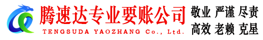 沙洋清债公司